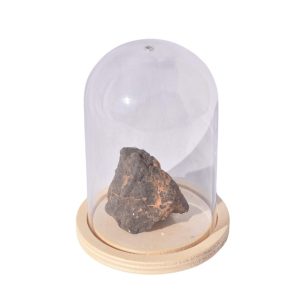 Chondrite Boudenib H5 49gr sous cloche en plastique
