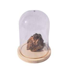 Chondrite Boudenib 43gr sous cloche en plastique