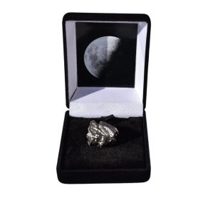 Campo del Cielo 18,6gr